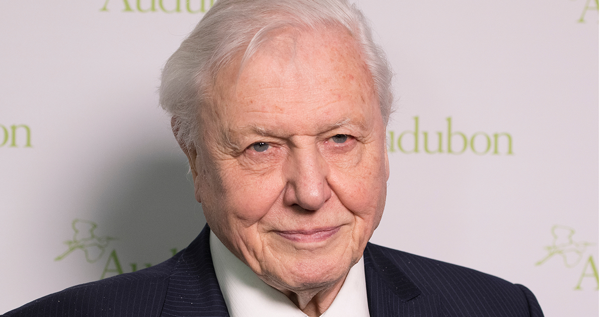 David Attenborough. Credit: Shutterstock.com