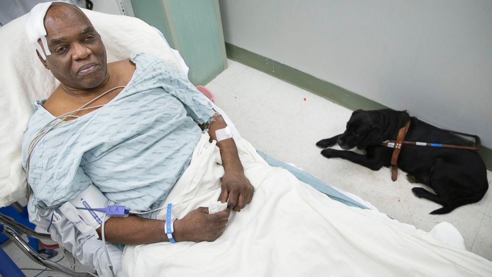 PHOTO: Cecil Williams sits with his guide dog Orlando in his hospital bed following a fall onto subway tracks from the platform at 145th Street, Dec. 17, 2013, in New York. 