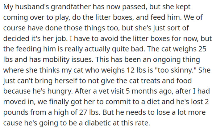 Following the passing of OP's husband's grandfather, his aunt continued her involvement in their lives by regularly visiting to play with their cat, maintain the litter boxes, and provide food.