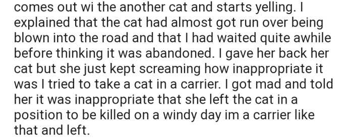 Suddenly, a lady came out of nowhere and started screaming at OP for attempting to take a cat that wasn't theirs