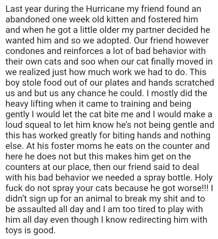 OP's cat stole food out of their plates and hand scratched them whenever he could