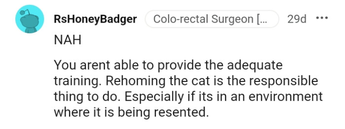 This Redditor agrees that rehoming the cat is the right thing to do