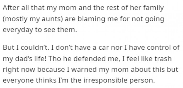 OP's mom and the rest of her family blamed it on OP