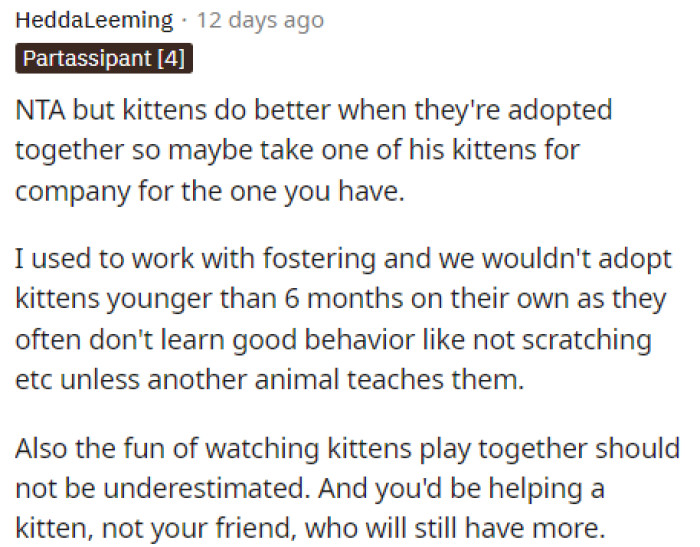 This person had some different perspectives and explained to her that maybe having two kittens would help.