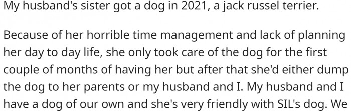 Her husband's sister got a jack Russel terrier a couple of years ago. It is a highly energetic breed, and she doesn't really have time for it. So OP, her husband and mother-in-law do most of the dog watching.