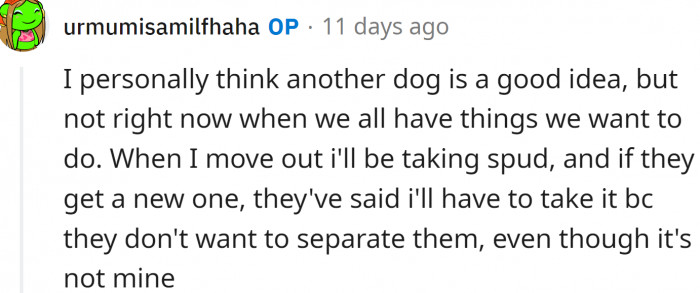 OP thinks another dog is a good idea, but not now