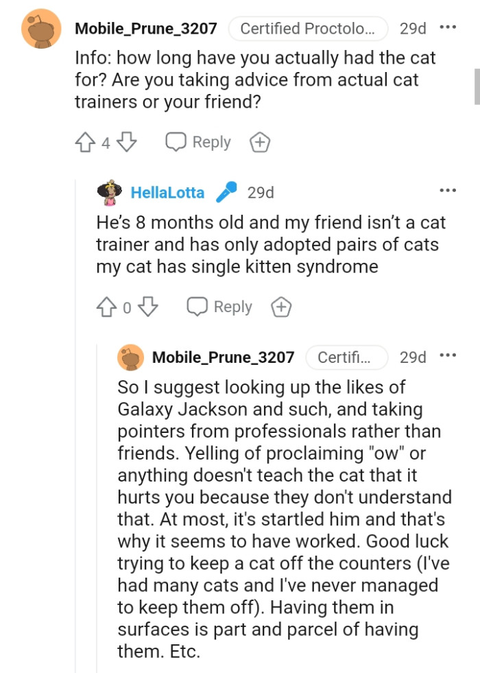 The OP says that her cat has single kitten syndrome