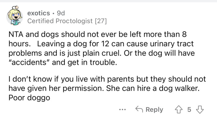 OP's sister can hire someone to take care of her dog.