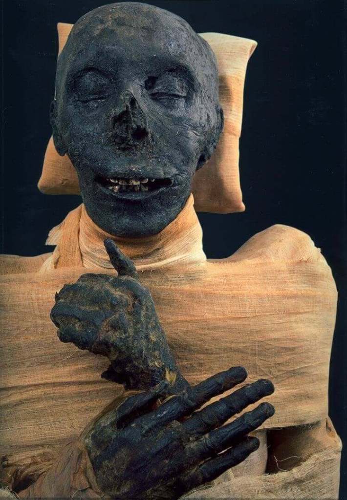 Mummy of Thutmose III