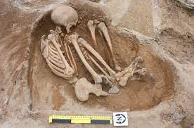 Giant skeleton discovered in bulgaria, Spara 85% tillgängliga betydande rabatt - breakthemetafantasy.com