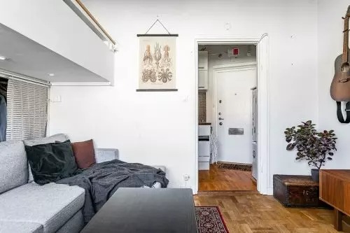 One Swedish man showed his own little apartment to everyone who was ...