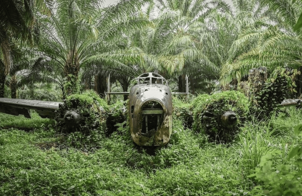 WWII Plane Found in Jungle with Coffee Still in Thermoses 