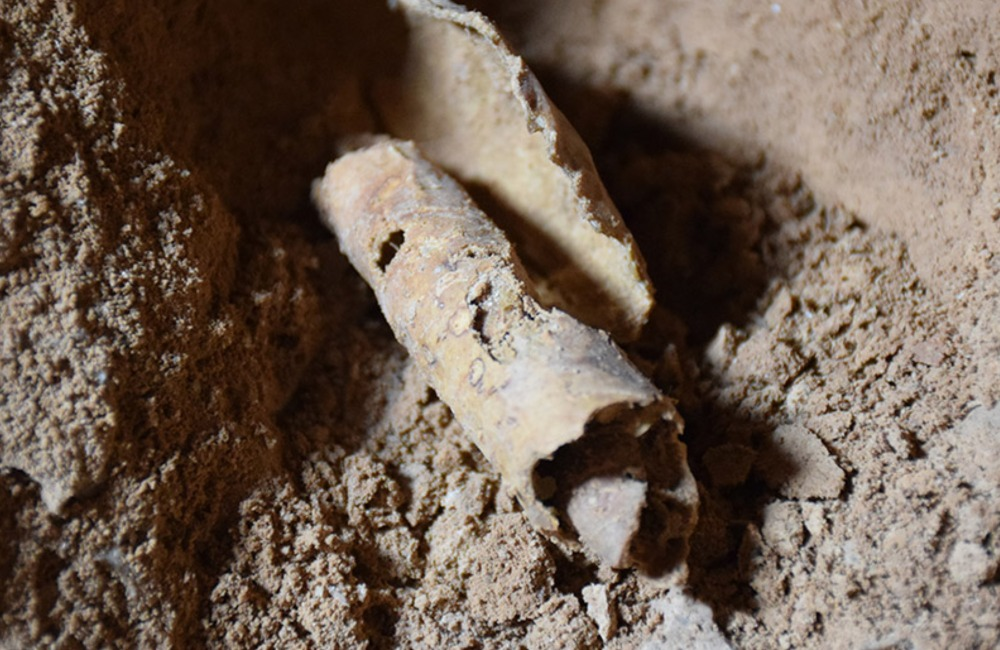 Israel Finds New Dead Sea Scrolls - 75 Years Later 